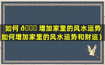 如何 🐝 增加家里的风水运势（如何增加家里的风水运势和财运）